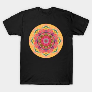 Mandala Magic - Daily Focus 3.20.2024 A T-Shirt